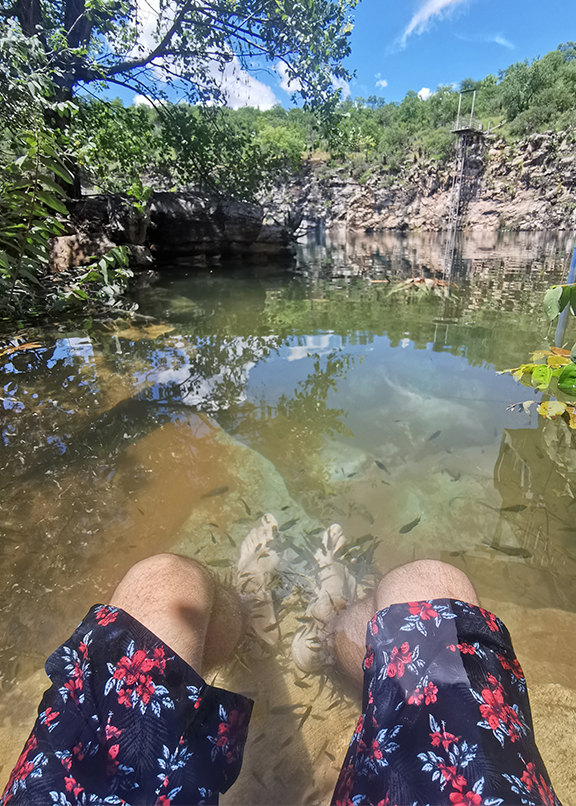 Fish swimming in between legs of a man at Guinas